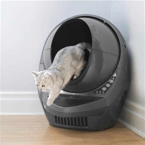 whisker automatic litter box